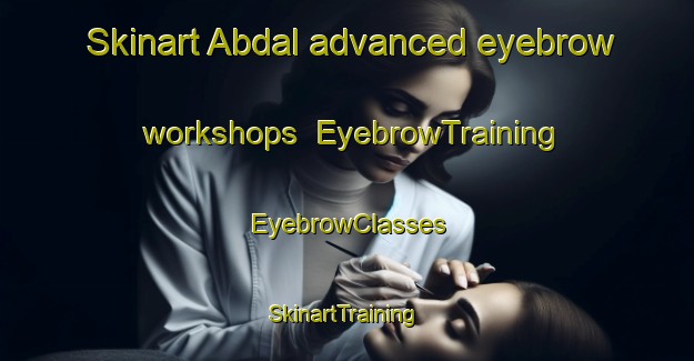 Skinart Abdal advanced eyebrow workshops | EyebrowTraining | EyebrowClasses | SkinartTraining-Russia