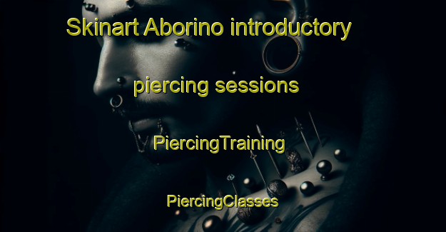 Skinart Aborino introductory piercing sessions | #PiercingTraining #PiercingClasses #SkinartTraining-Russia