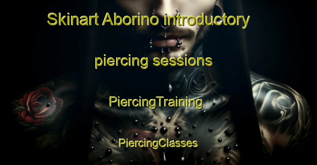 Skinart Aborino introductory piercing sessions | #PiercingTraining #PiercingClasses #SkinartTraining-Russia