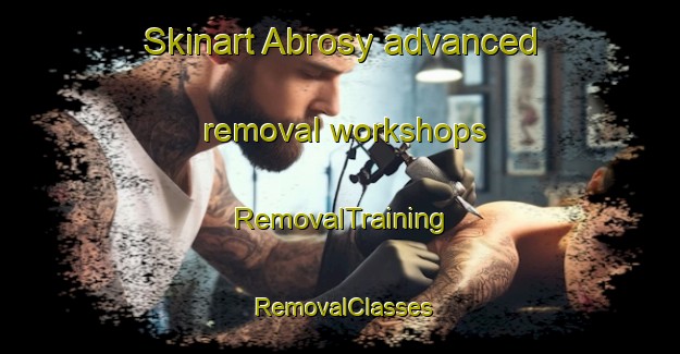 Skinart Abrosy advanced removal workshops | RemovalTraining | RemovalClasses | SkinartTraining-Russia