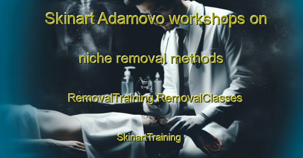 Skinart Adamovo workshops on niche removal methods | #RemovalTraining #RemovalClasses #SkinartTraining-Russia