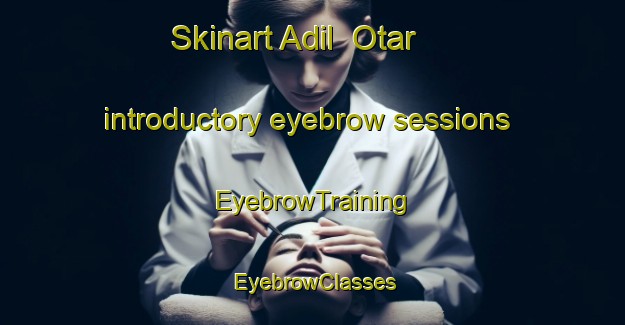 Skinart Adil  Otar introductory eyebrow sessions | EyebrowTraining | EyebrowClasses | SkinartTraining-Russia