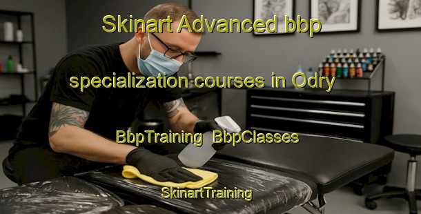 Skinart Advanced bbp specialization courses in Odry | BbpTraining | BbpClasses | SkinartTraining-Russia