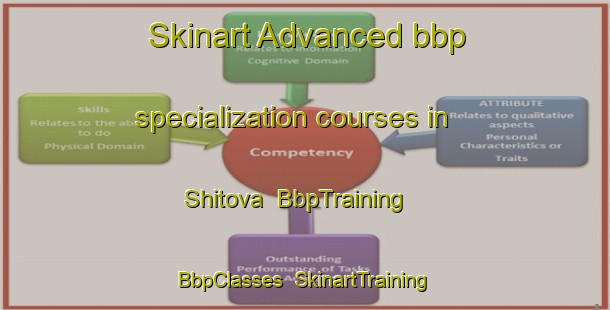 Skinart Advanced bbp specialization courses in Shitova | BbpTraining | BbpClasses | SkinartTraining-Russia