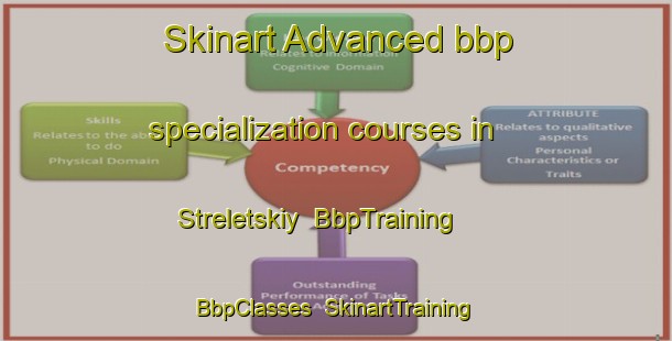 Skinart Advanced bbp specialization courses in Streletskiy | BbpTraining | BbpClasses | SkinartTraining-Russia