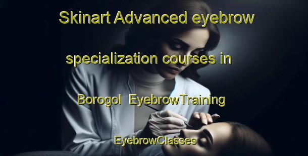 Skinart Advanced eyebrow specialization courses in Borogol | EyebrowTraining | EyebrowClasses | SkinartTraining-Russia