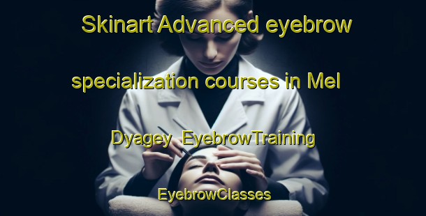 Skinart Advanced eyebrow specialization courses in Mel Dyagey | EyebrowTraining | EyebrowClasses | SkinartTraining-Russia
