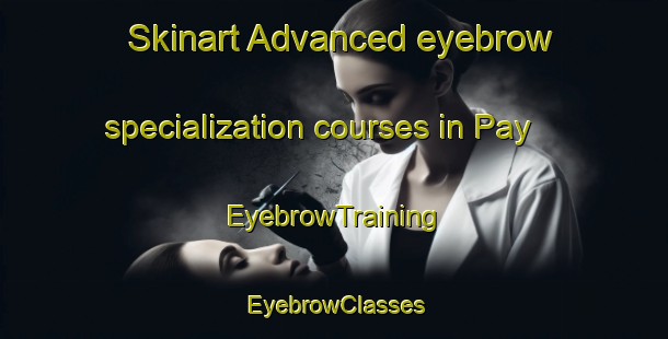 Skinart Advanced eyebrow specialization courses in Pay | EyebrowTraining | EyebrowClasses | SkinartTraining-Russia