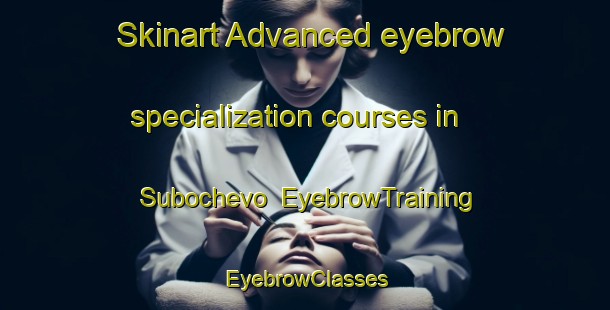 Skinart Advanced eyebrow specialization courses in Subochevo | EyebrowTraining | EyebrowClasses | SkinartTraining-Russia