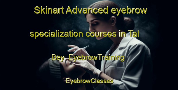 Skinart Advanced eyebrow specialization courses in Tal Bey | EyebrowTraining | EyebrowClasses | SkinartTraining-Russia