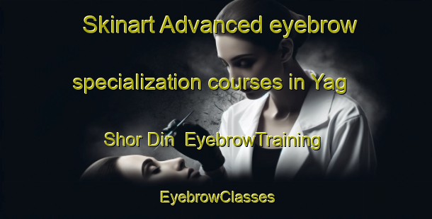 Skinart Advanced eyebrow specialization courses in Yag Shor Din | EyebrowTraining | EyebrowClasses | SkinartTraining-Russia
