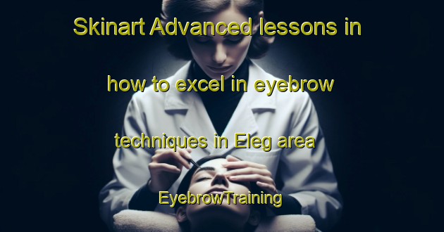 Skinart Advanced lessons in how to excel in eyebrow techniques in Eleg area | EyebrowTraining | EyebrowClasses | SkinartTraining-Russia