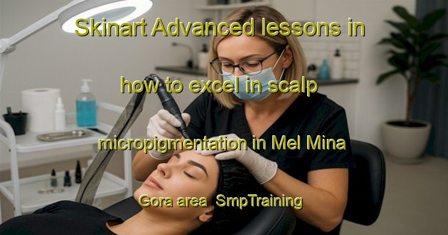Skinart Advanced lessons in how to excel in scalp micropigmentation in Mel Mina Gora area | SmpTraining | SmpClasses | SkinartTraining-Russia