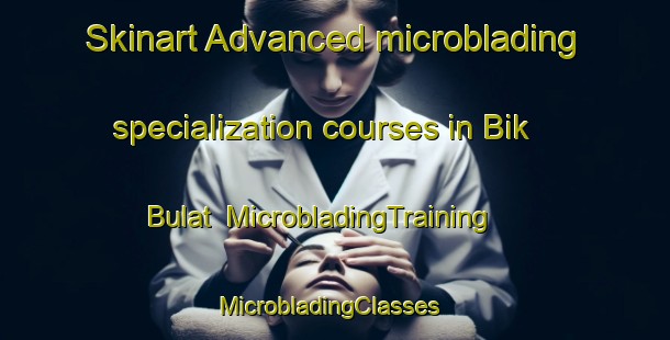Skinart Advanced microblading specialization courses in Bik Bulat | MicrobladingTraining | MicrobladingClasses | SkinartTraining-Russia