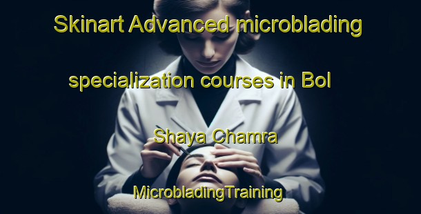 Skinart Advanced microblading specialization courses in Bol Shaya Chamra | #MicrobladingTraining #MicrobladingClasses #SkinartTraining-Russia