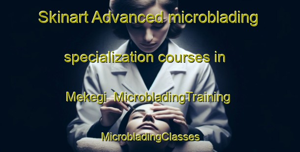 Skinart Advanced microblading specialization courses in Mekegi | #MicrobladingTraining #MicrobladingClasses #SkinartTraining-Russia