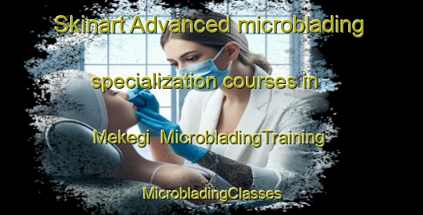 Skinart Advanced microblading specialization courses in Mekegi | #MicrobladingTraining #MicrobladingClasses #SkinartTraining-Russia