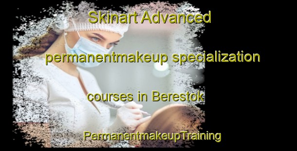 Skinart Advanced permanentmakeup specialization courses in Berestok | PermanentmakeupTraining | PermanentmakeupClasses | SkinartTraining-Russia