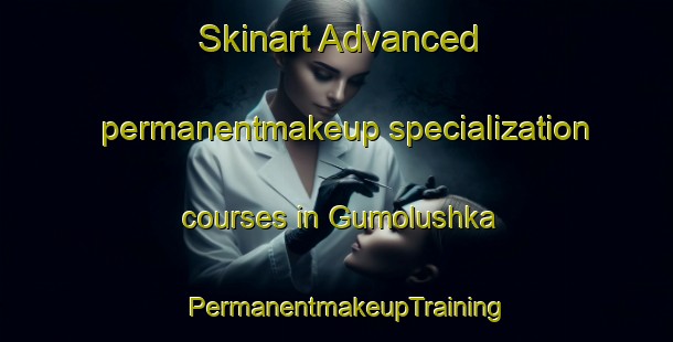 Skinart Advanced permanentmakeup specialization courses in Gumolushka | PermanentmakeupTraining | PermanentmakeupClasses | SkinartTraining-Russia