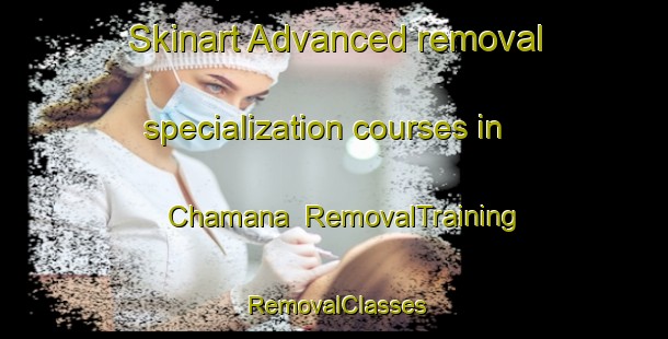 Skinart Advanced removal specialization courses in Chamana | RemovalTraining | RemovalClasses | SkinartTraining-Russia