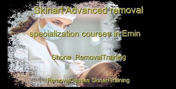 Skinart Advanced removal specialization courses in Emin Shona | #RemovalTraining #RemovalClasses #SkinartTraining-Russia