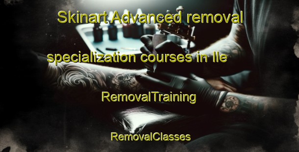 Skinart Advanced removal specialization courses in Ile | RemovalTraining | RemovalClasses | SkinartTraining-Russia