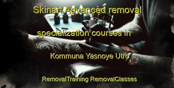 Skinart Advanced removal specialization courses in Kommuna Yasnoye Utro | #RemovalTraining #RemovalClasses #SkinartTraining-Russia