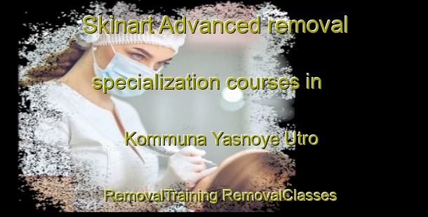 Skinart Advanced removal specialization courses in Kommuna Yasnoye Utro | #RemovalTraining #RemovalClasses #SkinartTraining-Russia