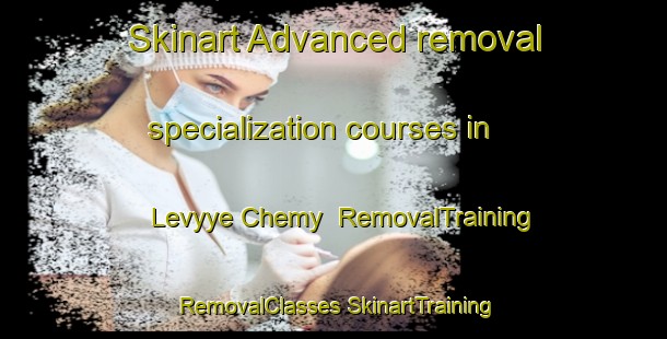 Skinart Advanced removal specialization courses in Levyye Chemy | #RemovalTraining #RemovalClasses #SkinartTraining-Russia