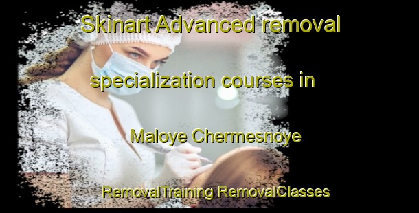 Skinart Advanced removal specialization courses in Maloye Chermesnoye | #RemovalTraining #RemovalClasses #SkinartTraining-Russia