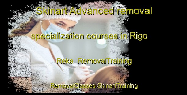 Skinart Advanced removal specialization courses in Rigo Reka | #RemovalTraining #RemovalClasses #SkinartTraining-Russia