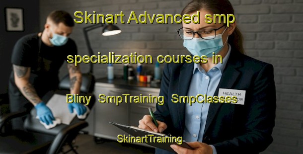 Skinart Advanced smp specialization courses in Bliny | SmpTraining | SmpClasses | SkinartTraining-Russia