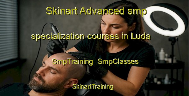 Skinart Advanced smp specialization courses in Luda | SmpTraining | SmpClasses | SkinartTraining-Russia