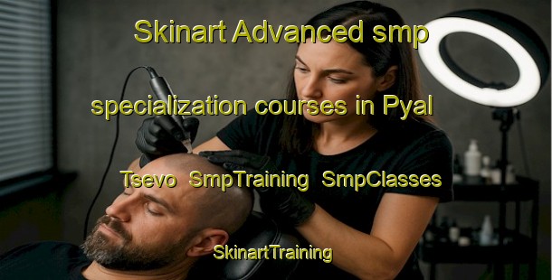 Skinart Advanced smp specialization courses in Pyal Tsevo | SmpTraining | SmpClasses | SkinartTraining-Russia