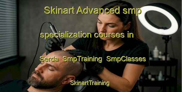 Skinart Advanced smp specialization courses in Serda | SmpTraining | SmpClasses | SkinartTraining-Russia