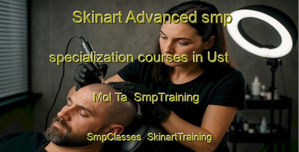 Skinart Advanced smp specialization courses in Ust  Mol Ta | SmpTraining | SmpClasses | SkinartTraining-Russia