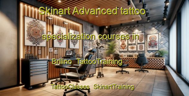 Skinart Advanced tattoo specialization courses in Brilino | TattooTraining | TattooClasses | SkinartTraining-Russia