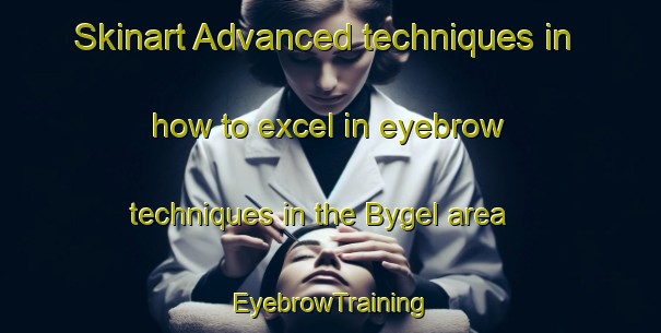 Skinart Advanced techniques in how to excel in eyebrow techniques in the Bygel area | EyebrowTraining | EyebrowClasses | SkinartTraining-Russia