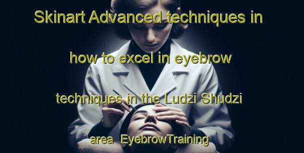 Skinart Advanced techniques in how to excel in eyebrow techniques in the Ludzi Shudzi area | EyebrowTraining | EyebrowClasses | SkinartTraining-Russia