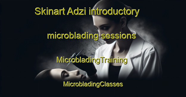 Skinart Adzi introductory microblading sessions | #MicrobladingTraining #MicrobladingClasses #SkinartTraining-Russia