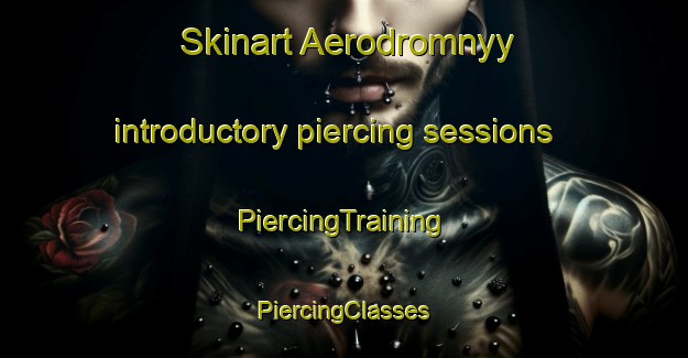 Skinart Aerodromnyy introductory piercing sessions | #PiercingTraining #PiercingClasses #SkinartTraining-Russia