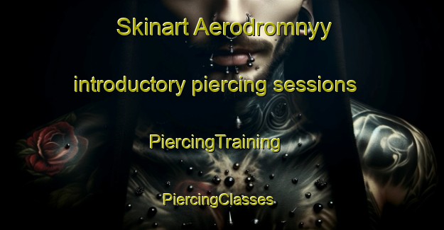 Skinart Aerodromnyy introductory piercing sessions | PiercingTraining | PiercingClasses | SkinartTraining-Russia
