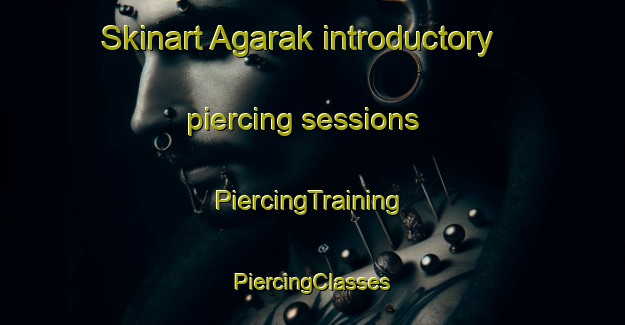 Skinart Agarak introductory piercing sessions | #PiercingTraining #PiercingClasses #SkinartTraining-Russia