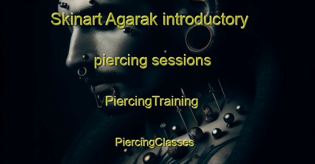 Skinart Agarak introductory piercing sessions | PiercingTraining | PiercingClasses | SkinartTraining-Russia