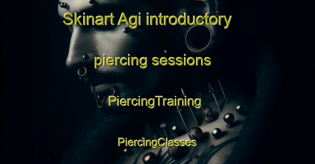 Skinart Agi introductory piercing sessions | #PiercingTraining #PiercingClasses #SkinartTraining-Russia