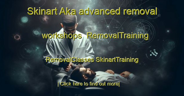 Skinart Aka advanced removal workshops | #RemovalTraining #RemovalClasses #SkinartTraining-Russia