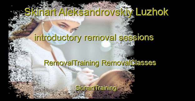 Skinart Aleksandrovskiy Luzhok introductory removal sessions | #RemovalTraining #RemovalClasses #SkinartTraining-Russia