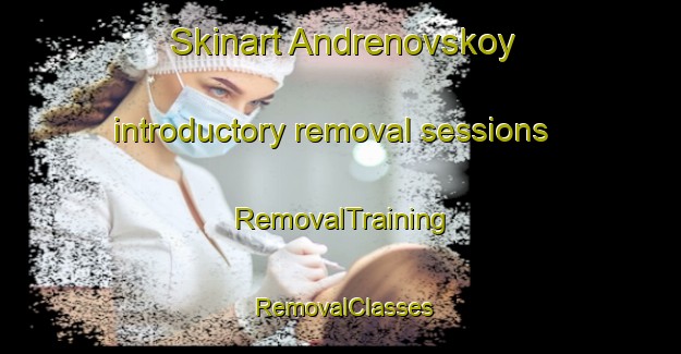 Skinart Andrenovskoy introductory removal sessions | RemovalTraining | RemovalClasses | SkinartTraining-Russia