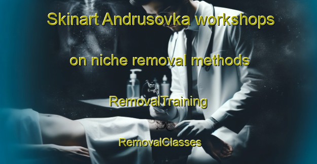 Skinart Andrusovka workshops on niche removal methods | RemovalTraining | RemovalClasses | SkinartTraining-Russia