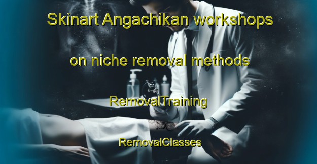 Skinart Angachikan workshops on niche removal methods | RemovalTraining | RemovalClasses | SkinartTraining-Russia